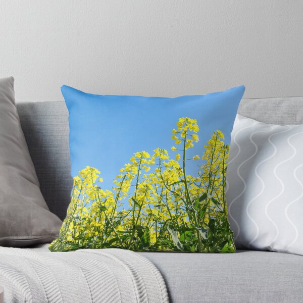 Item preview, Flowering Canola... Dookie. designed and sold by mitpjenkeating.