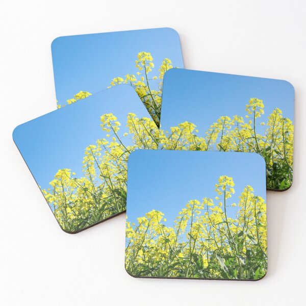 Item preview, Flowering Canola... Dookie. designed and sold by mitpjenkeating.