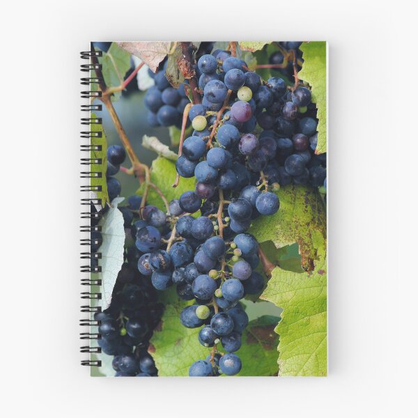 Item preview, grapes designed and sold by iago rodriguez dopico.