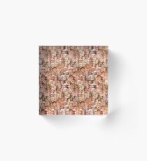 Donald Trump Acrylic Block
