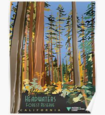 Vintage poster - Headwaters Forest Reserve Poster