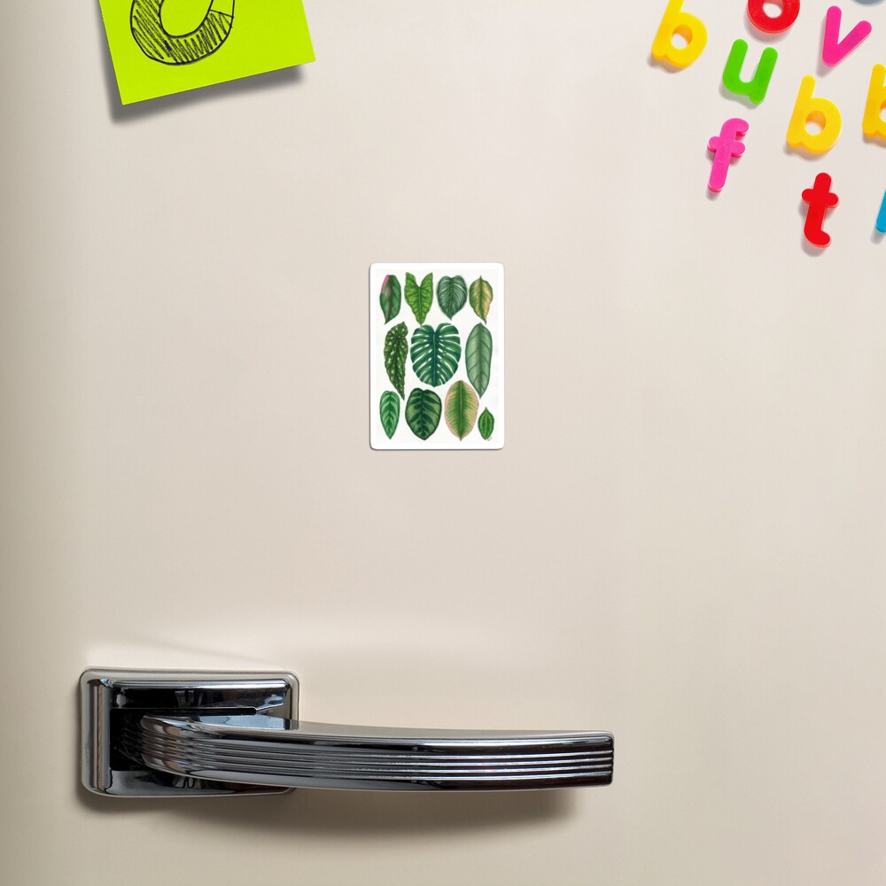 Item preview, Magnet designed and sold by avibrantnest.