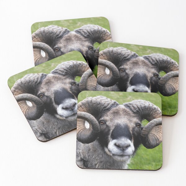 Item preview, The summer time in Iceland designed and sold by Toi-Vido.