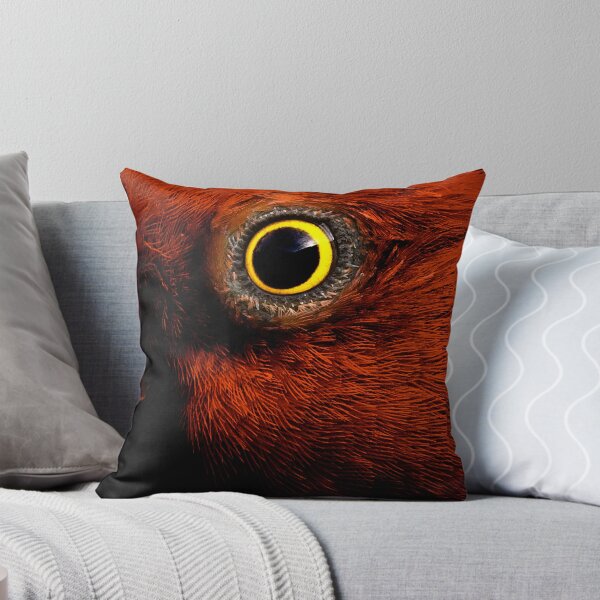Item preview, I'm Watching You,King Parrot. designed and sold by Darryl Fowler.