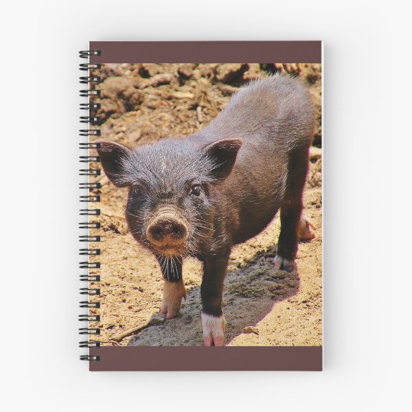 Item preview, A Confident Little Porker designed and sold by Martha Sherman.