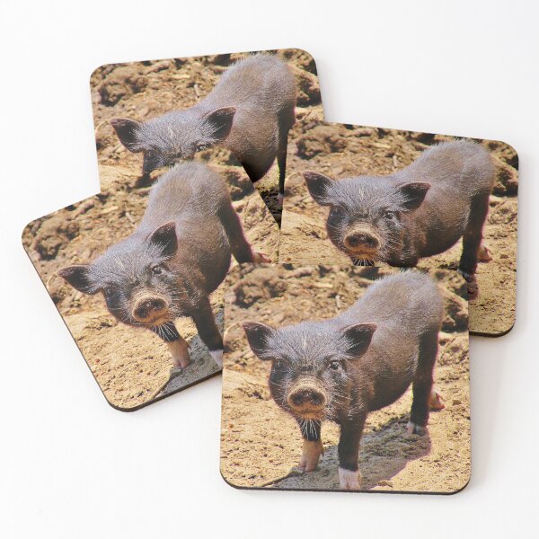 Item preview, A Confident Little Porker designed and sold by Martha Sherman.