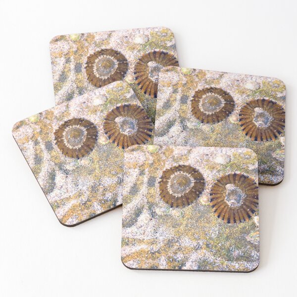 Item preview, Daily Travels,Great Ocean Road. designed and sold by Darryl Fowler.