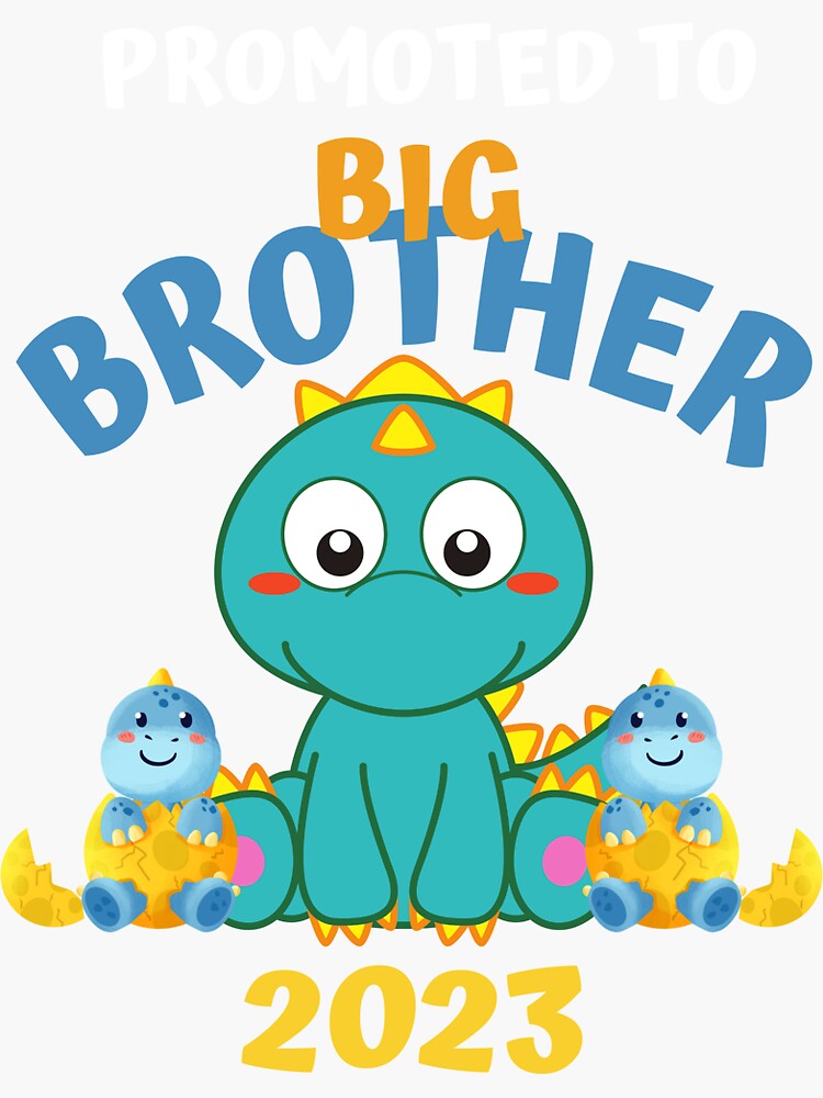 FUTURE BIG BROTHER Big Bro To Be Funny Family Matching Baby Birth T
