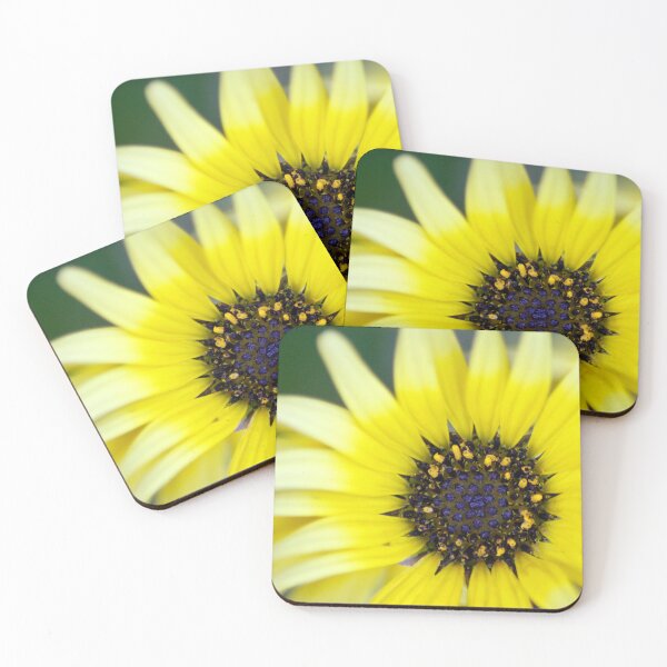 Item preview, cape daisy designed and sold by iago rodriguez dopico.