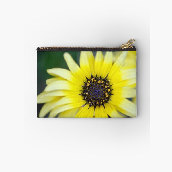 Item preview, cape daisy designed and sold by iago rodriguez dopico.