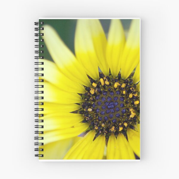 Item preview, cape daisy designed and sold by iago rodriguez dopico.