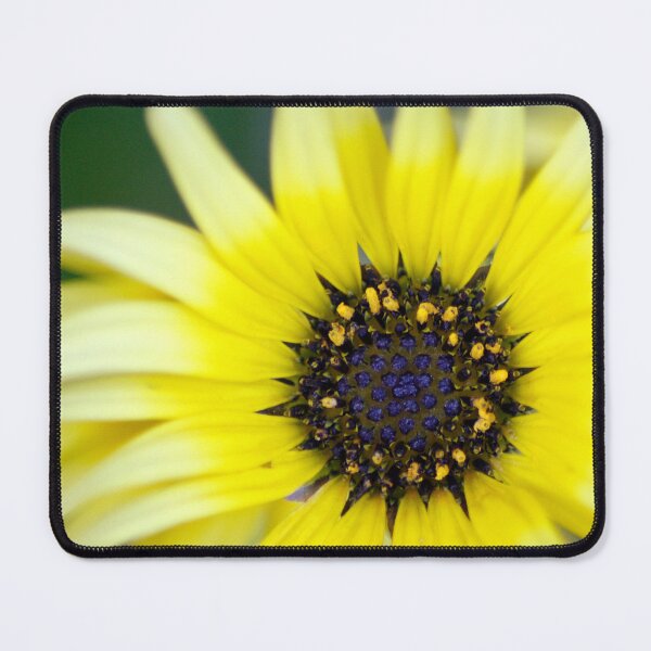 Item preview, cape daisy designed and sold by iago rodriguez dopico.