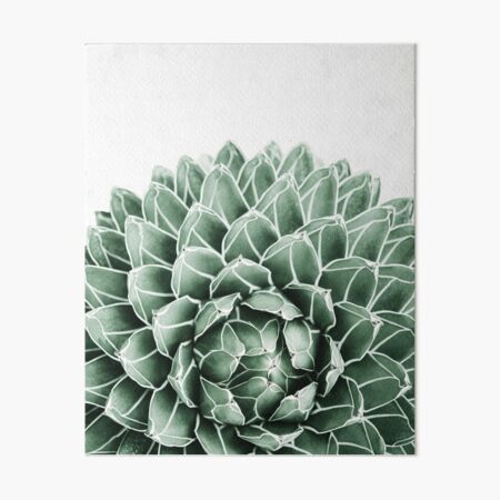 Succulent splendour Art Board Print