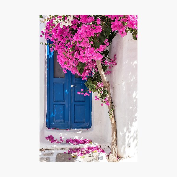 Item preview, bougainvillea beauty, Paros designed and sold by JoSowden.