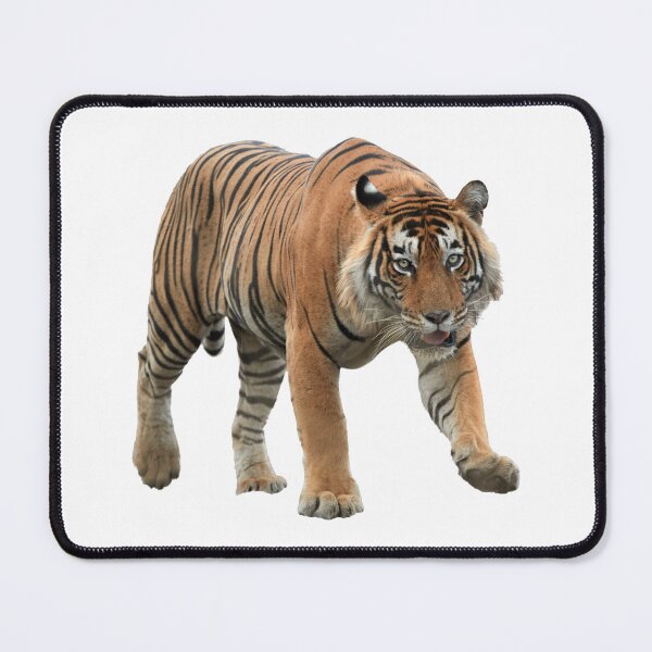 Item preview, Bengal tiger designed and sold by EndangeredFotos.