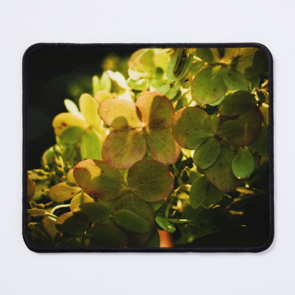 Item preview, Weathering designed and sold by Melanie Uadjit.