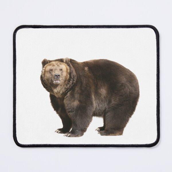 Item preview, Brown Bear designed and sold by EndangeredFotos.