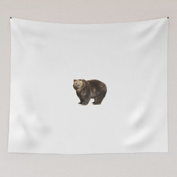 Item preview, Brown  Bear designed and sold by EndangeredFotos.