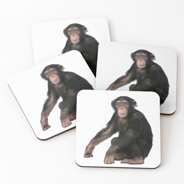 Artikelvorschau, Schimpanse entworfen und verkauft von EndangeredFotos.
