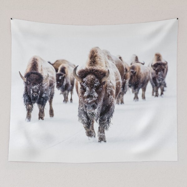 Item preview, Bison group in the road in the Winter designed and sold by InHerits.
