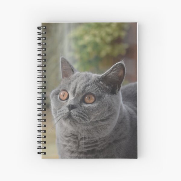The eyes Spiral Notebook