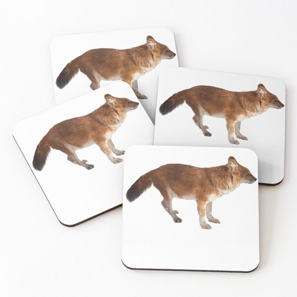 Item preview, Dhole designed and sold by EndangeredFotos.