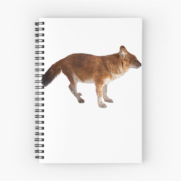 Item preview, Dhole designed and sold by EndangeredFotos.
