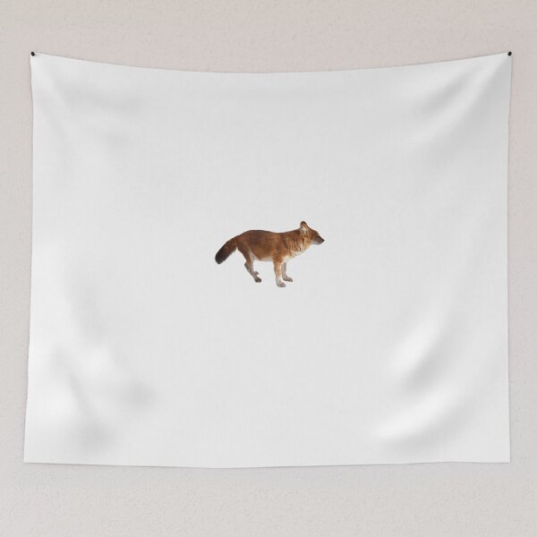 Item preview, Dhole designed and sold by EndangeredFotos.
