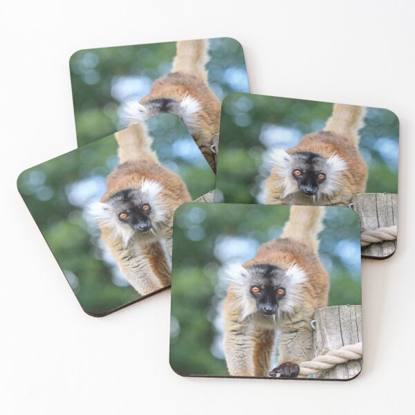 Item preview, Ruffed lemur designed and sold by GreyFeatherPhot.