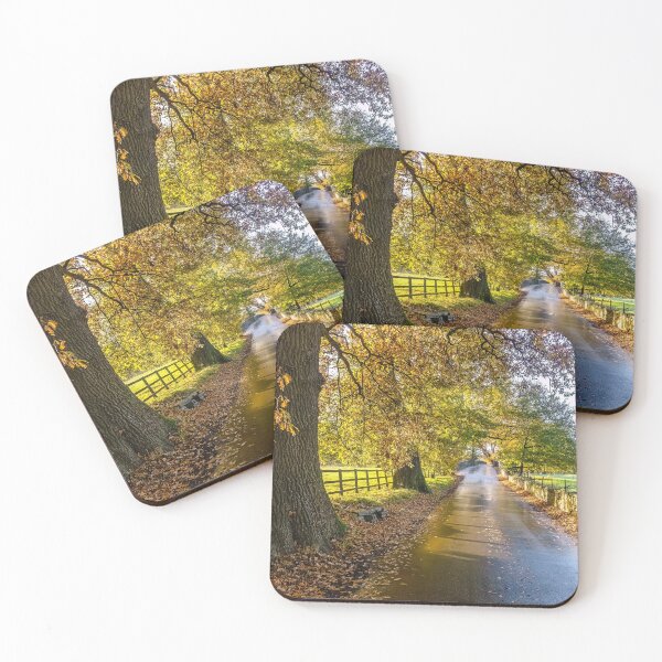 Item preview, Autumn colours at Merthyr Mawr in Wales designed and sold by Jinxyboy1908.