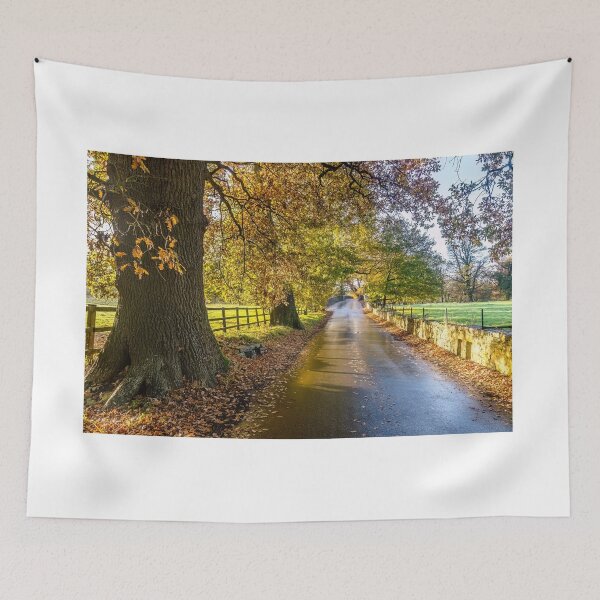 Item preview, Autumn colours at Merthyr Mawr in Wales designed and sold by Jinxyboy1908.