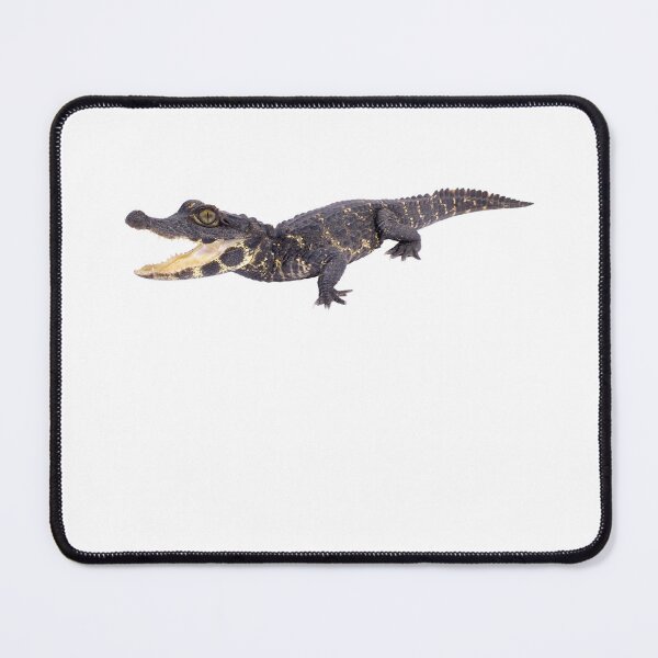 Item preview, Dwarf crocodile designed and sold by EndangeredFotos.