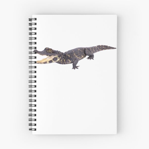 Item preview, Dwarf crocodile designed and sold by EndangeredFotos.