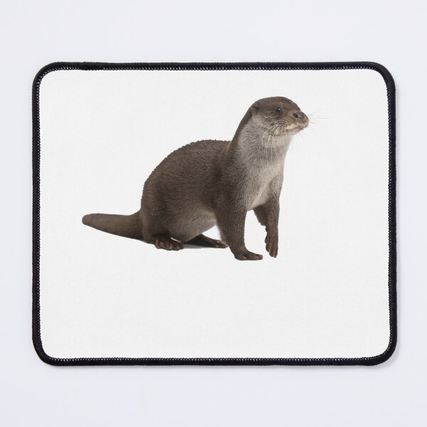 Item preview, European otter designed and sold by EndangeredFotos.