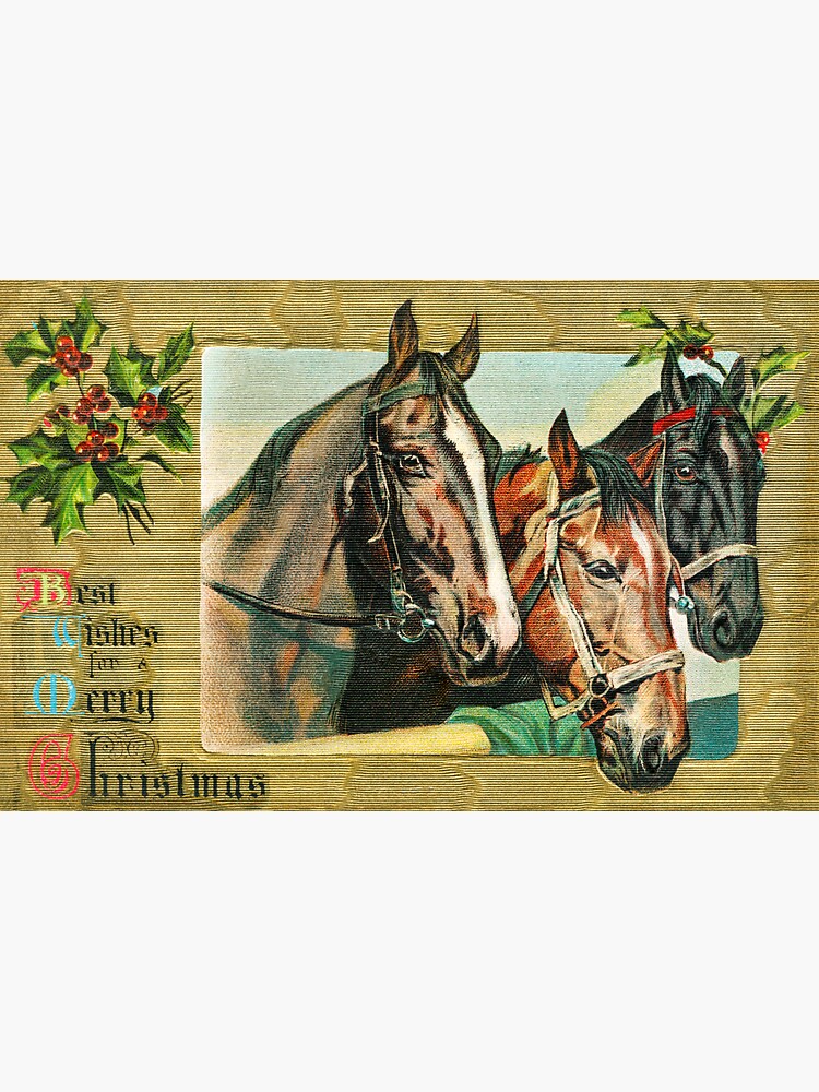 "Horse head art" Sticker for Sale by JacaswithMe Redbubble