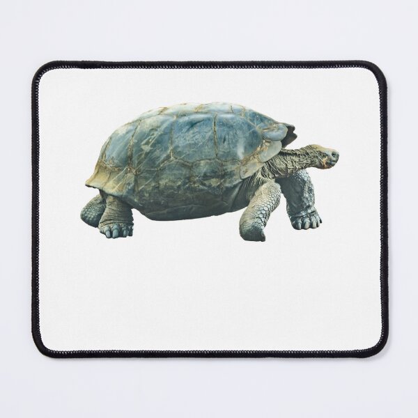 Item preview, Galapagos Tortoise designed and sold by EndangeredFotos.
