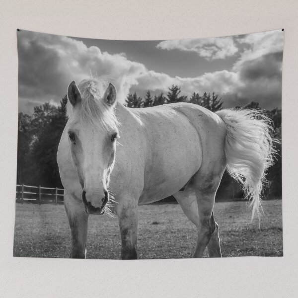 Item preview, White Horse Tail Swish designed and sold by Nicklas81.