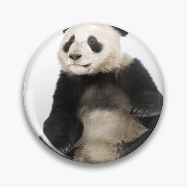 Item preview, Giant panda designed and sold by EndangeredFotos.