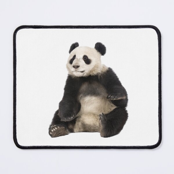 Item preview, Giant panda designed and sold by EndangeredFotos.