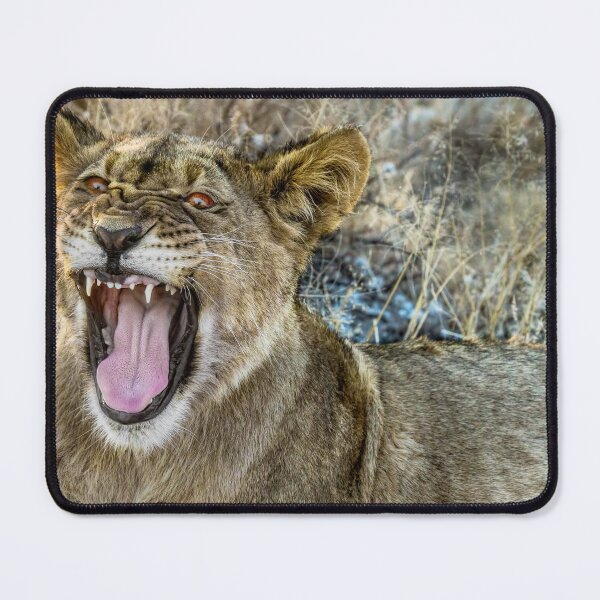 Item preview, Black-Maned Lion Cub designed and sold by Kay Brewer.