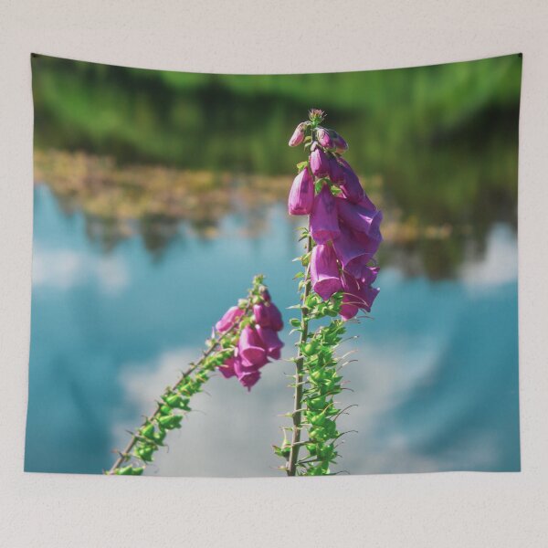 Item preview, Purple flowers on the lake shore - Cragside designed and sold by chiaravisuals.
