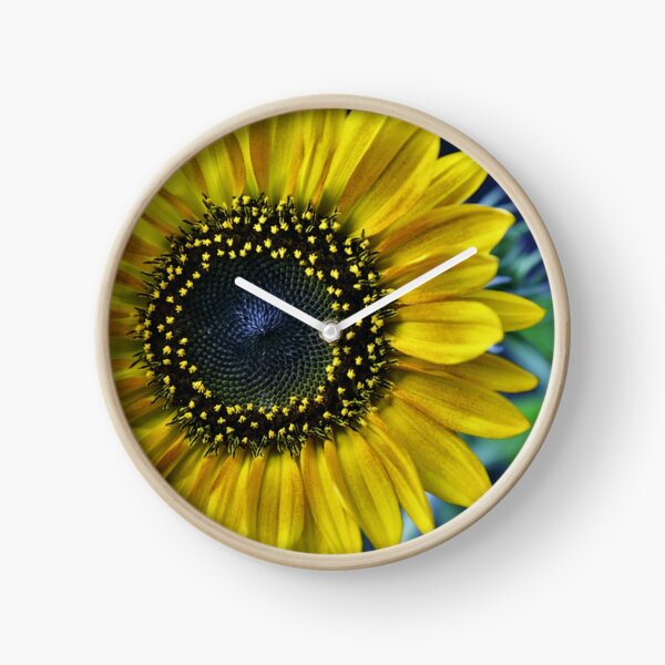 Artikelvorschau, Sonnenblume Makro Foto Blütte entworfen und verkauft von Falko-Follert.