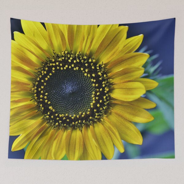 Item preview, Sunflower macro photo of blossom designed and sold by Falko-Follert.