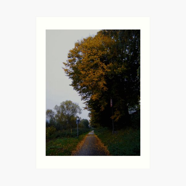 A walk in the Fall Art Print