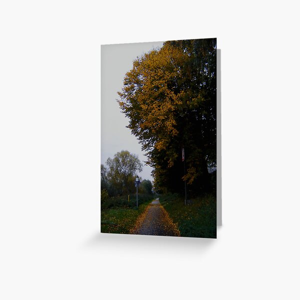 A walk in the Fall Greeting Card