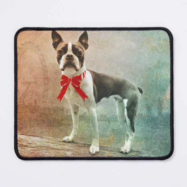 Item preview, Portrait of Meryl the Boston Terrier designed and sold by zuluspice.