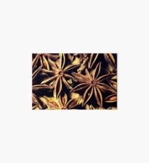 Star Anise Texture Art Board
