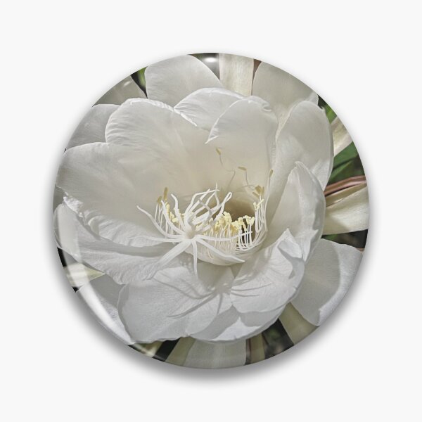Item preview, Queen of the Night floral design designed and sold by mark-taylor.