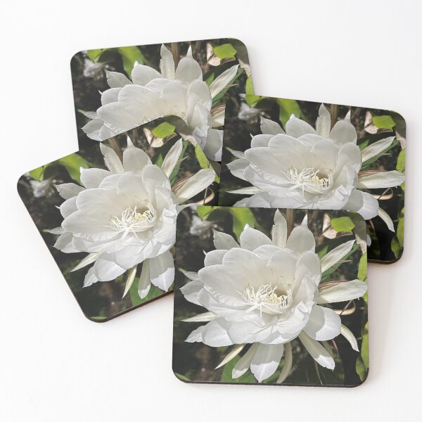 Item preview, Queen of the Night floral design designed and sold by mark-taylor.
