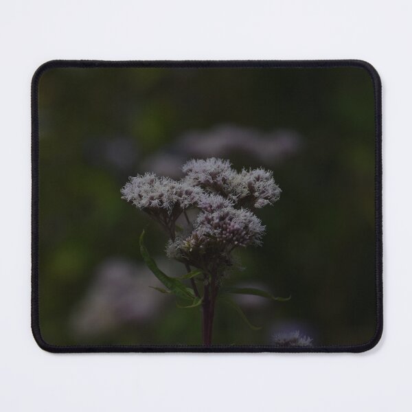 Item preview, Fauna designed and sold by SaraTomlinson55.